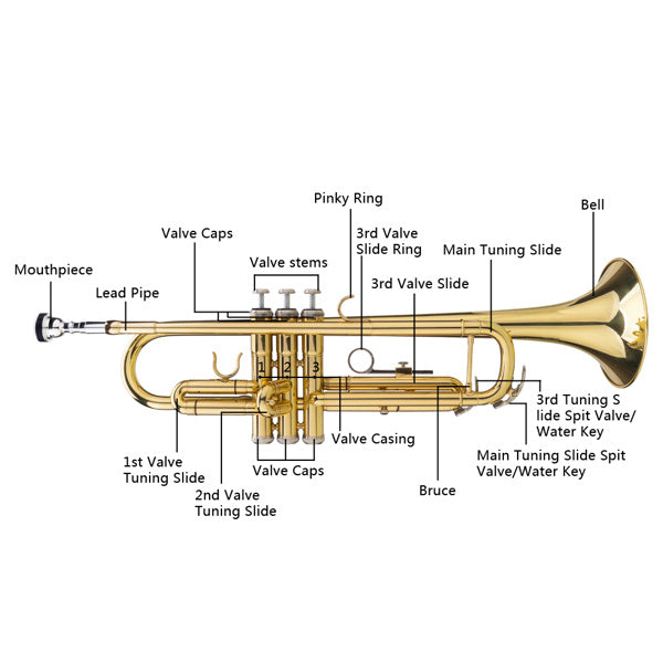 B-flat Tone Adjustable Trumpet Gold Finish