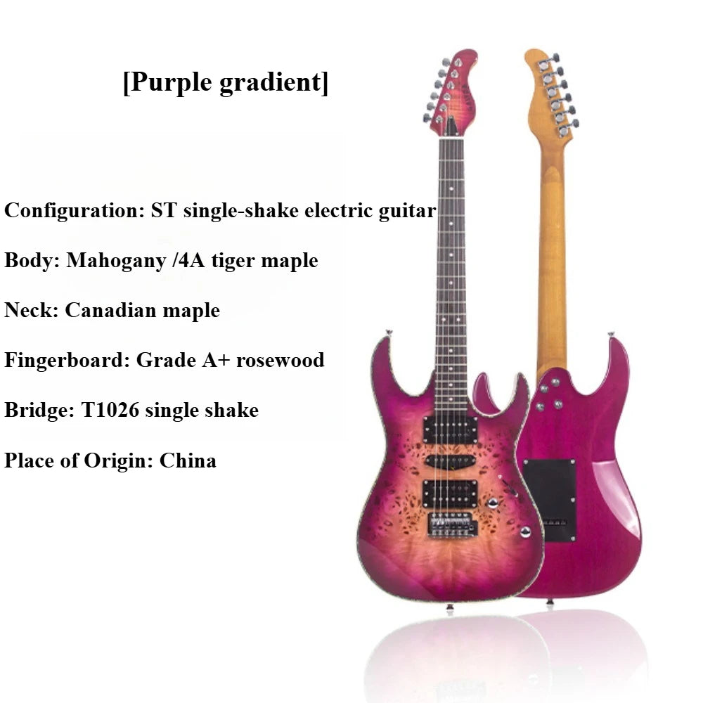 Electric Guitar B