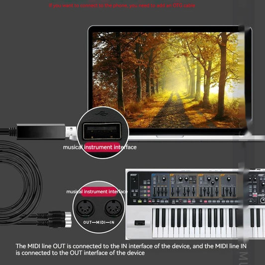 An electronic keyboard USB conversion line being used to connect an electronic piano to a computer, with a graphic interface on the screen.